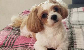 Elizete Marçal Freire Sampaio 