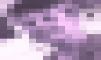 Maria Cezira F N  Martins