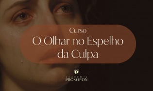 O OLHAR NO ESPELHO DA CULPA