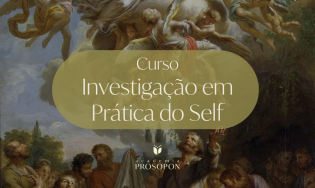 INVESTIGAÇÕES EM PRÁTICA DO SELF