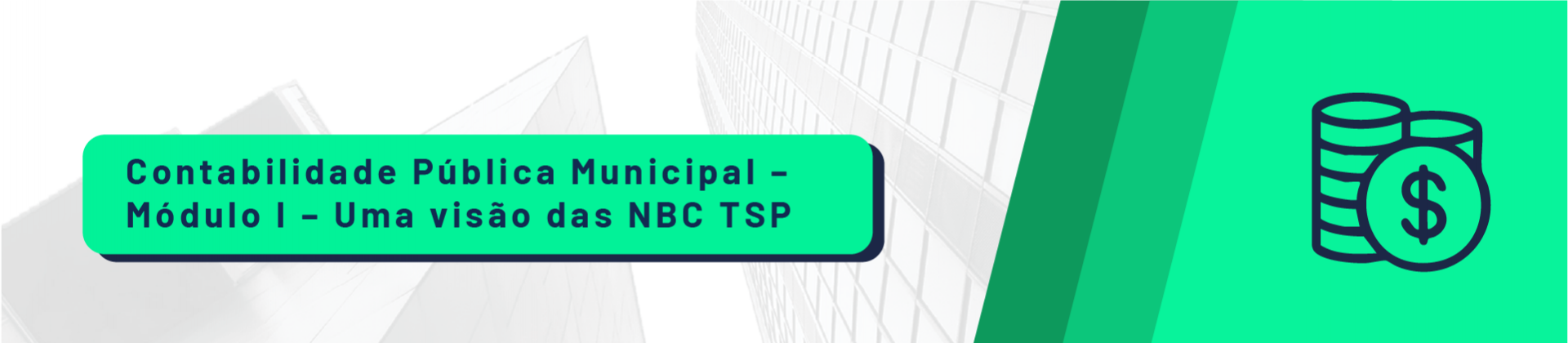 Contabilidade Pública Municipal - Módulo I - Uma visão para os Municípios Brasileiros