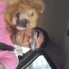 NELSON TADEU RODRIGUES LAGO FILHO  -  SP