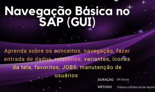 Navegação Básica no SAP