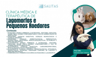 CLÍNICA MÉDICA E TERAPÊUTICA DE LAGOMORFOS E ROEDORES