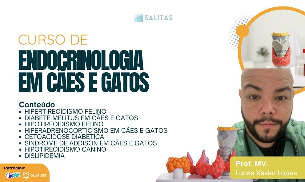 ENDOCRINOLOGIA VETERINÁRIA FOCADA EM RESIDÊNCIA EM PEQUENOS ANIMAIS