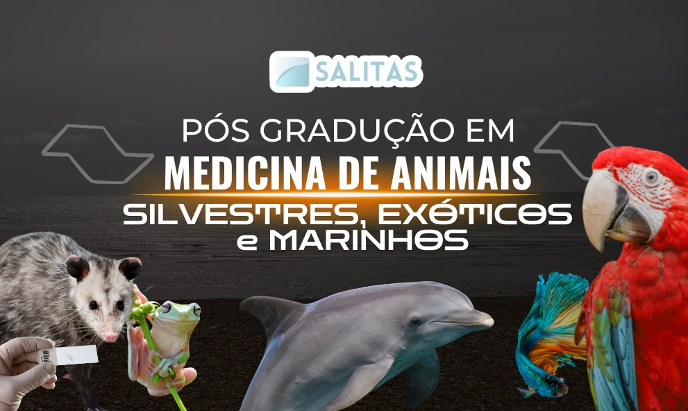 PÓS-GRADUAÇÃO EM MEDICINA DE ANIMAIS SILVESTRES, PETS NÃO CONVENCIONAIS E AQUÁTICOS