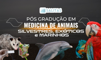 PÓS-GRADUAÇÃO EM MEDICINA DE ANIMAIS SILVESTRES, PETS NÃO CONVENCIONAIS E AQUÁTICOS
