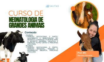 NEONATOLOGIA DE GRANDES ANIMAIS