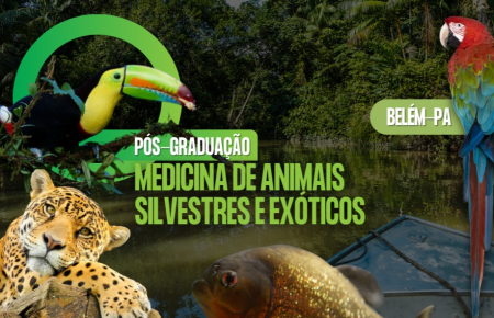 PÓS-GRADUAÇÃO EM MEDICINA DE ANIMAIS SILVESTRES E EXÓTICOS