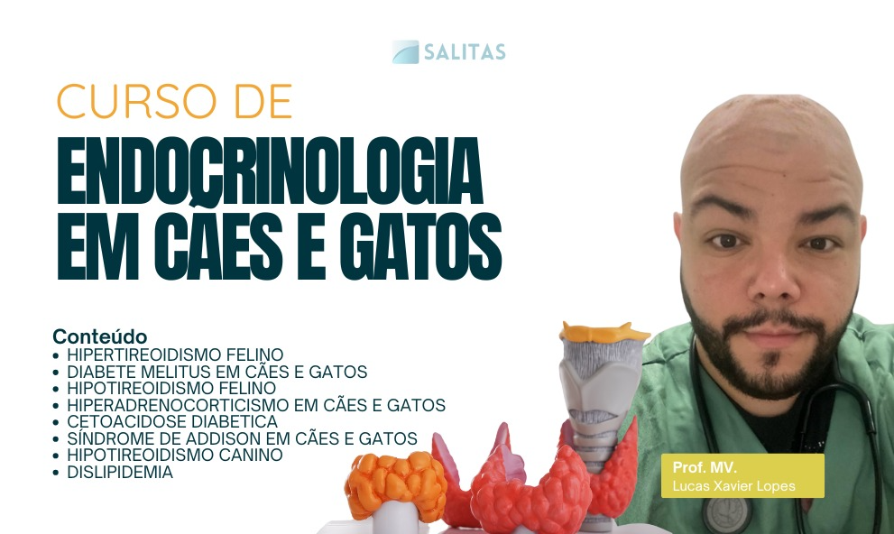 ENDOCRINOLOGIA EM CÃES E GATOS