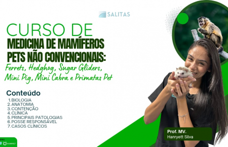 MEDICINA DE MAMÍFEROS PETS NÃO CONVENCIONAIS: HEDGEHOG, FERRETS, PRIMATAS, MINI PIG, MINI CABRA E SUGAR GLIDER