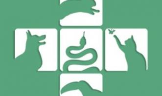 Michelle Nogueira Lundstedt