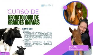 NEONATOLOGIA DE GRANDES ANIMAIS