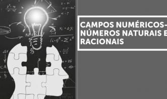CAMPOS NUMÉRICOS - NÚMEROS NATURAIS E RACIONAIS Vol. 2