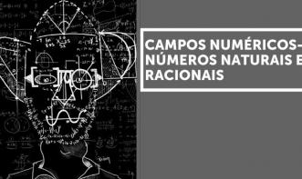 CAMPOS NUMÉRICOS - NÚMEROS NATURAIS E RACIONAIS Vol. 1