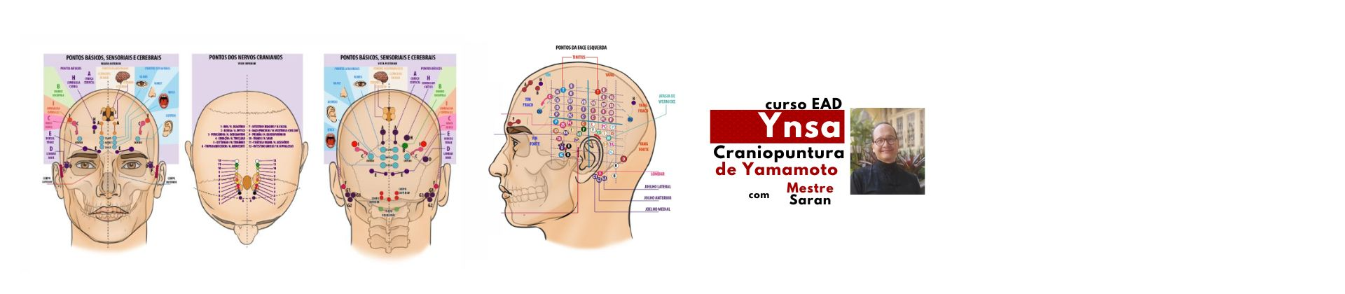 Curso da Craniopuntura de Yamamoto - YNSA