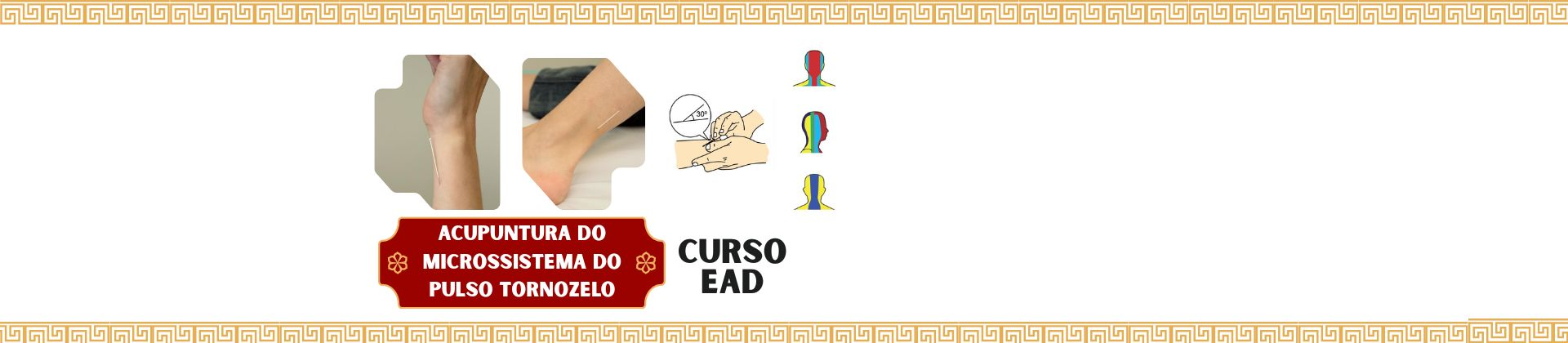 Curso EAD Acupuntura do Pulso-Tornozelo