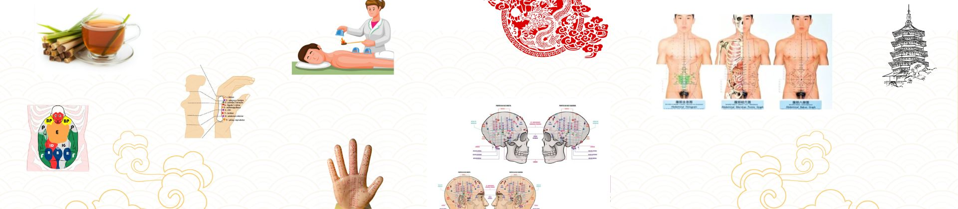 Formação em Acupuntura de Microssistemas e Fitoterapia Chinesa com Ervas Brasileiras
