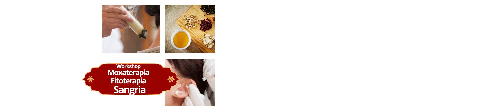 Workshop Moxaterapia, Fitoterapia e Sangria