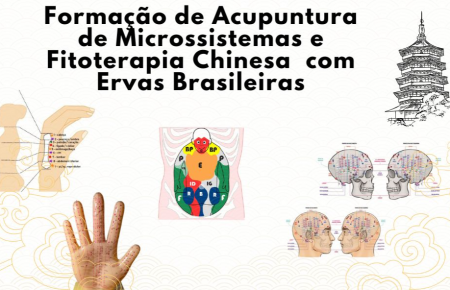 Formação em Acupuntura de Microssistemas e Fitoterapia Chinesa com Ervas Brasileiras