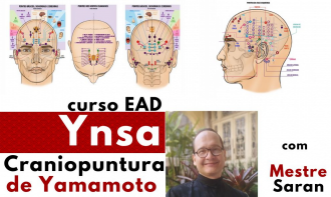 Curso da Craniopuntura de Yamamoto - YNSA