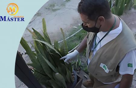 Técnico em Agente Comunitário de Saúde