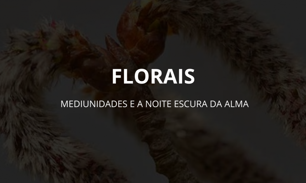FLORAIS -  Visão Mágica e Mediunidades
