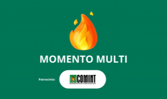 Estratégias Multidisciplinares