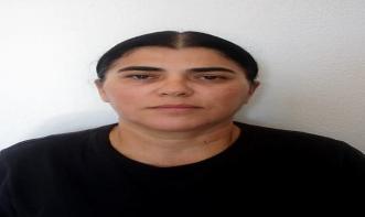 Maria Osenira Alves Amorim