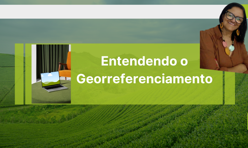 Entendendo o Georreferenciamento