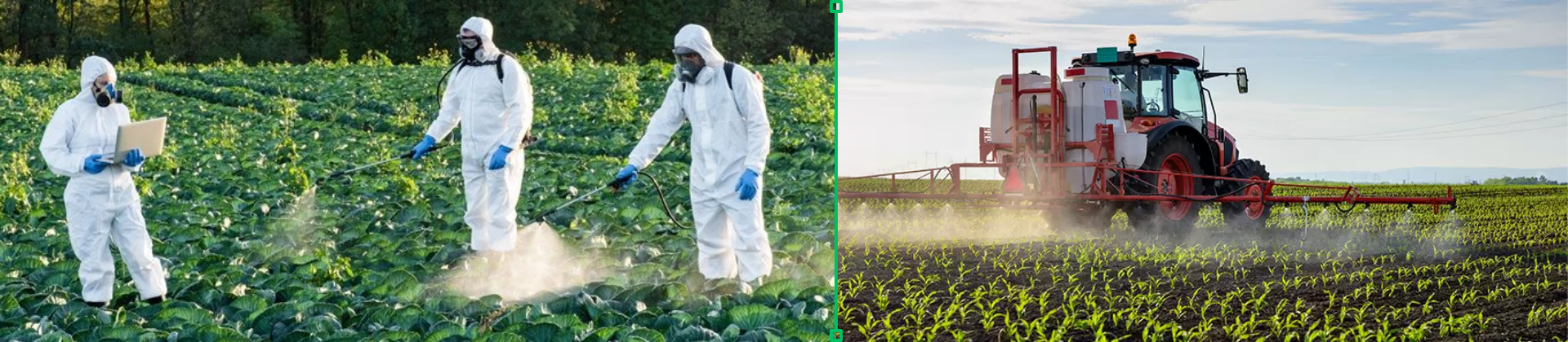 NR 31.7 - Agrotóxicos, Aditivos, Adjuvantes e Produtos Afins