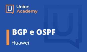 BGP E OSPF com Huawei