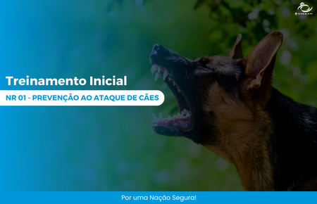 NR 01 - Prevenção ao Ataque de Cães