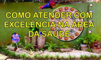 Como Atender com Excelência na Área da Saúde. ILPI